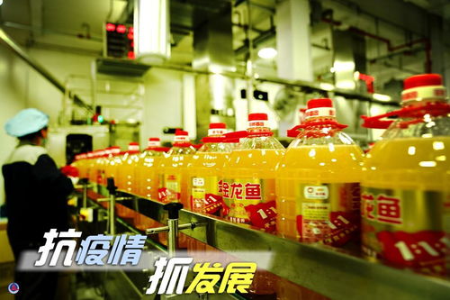 抗疫情 抓发展